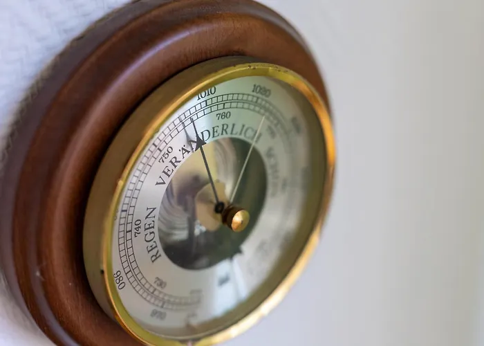 Foerdestrand Spinnaker